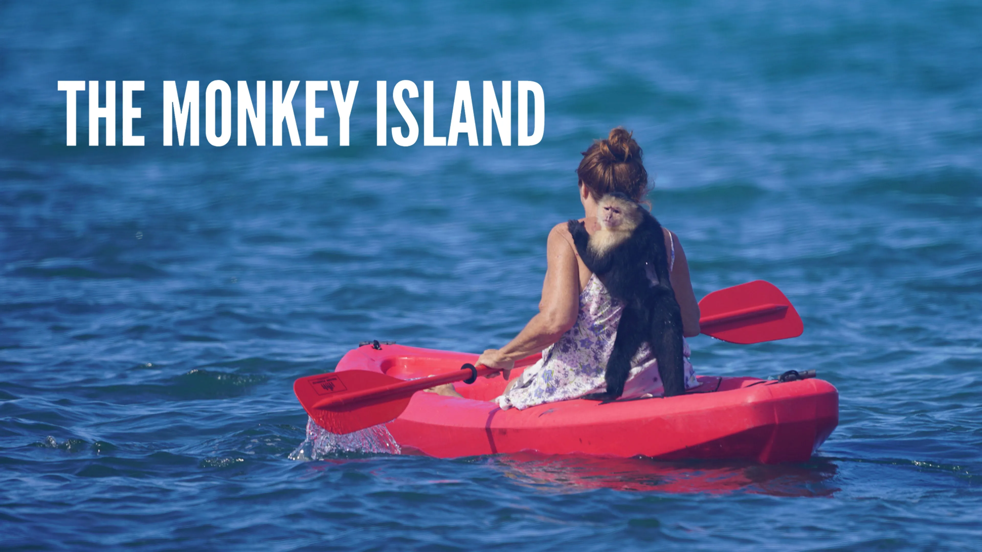 The Monkey Island poster